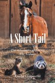 A Short Tail (eBook, ePUB) A Short Tail (eBook, ePUB)