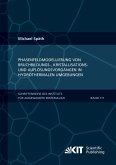 Phasenfeldmodellierung von Bruchbildungs-, Kristallisations- und Auflösungsvorgängen in hydrothermalen Umgebungen Phasenfeldmodellierung von Bruchbildungs-, Kristallisations- und Auflösungsvorgängen in hydrothermalen Umgebungen