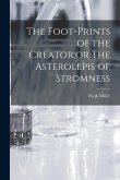 The Foot-Prints of the Creator;or The Asterolepis of Stromness