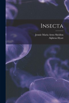 Cover Insecta