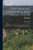 Féin-Theagasg Gaoidheilge. Self-Instruction in Irish: Or, the Rudiments of That Language, Brought Within the Comprehension of the English Reader