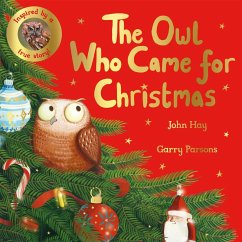 The Owl Who Came for Christmas (eBook, ePUB) - Hay, John
