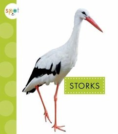 Storks - Amstutz, Lisa