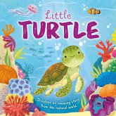 Nature Stories: Little Turtle-Discover an Amazing Story from the Natural World Nature Stories: Little Turtle-Discover an Amazing Story from the Natural World