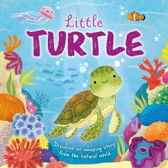 Nature Stories: Little Turtle-Discover an Amazing Story from the Natural World - Igloobooks