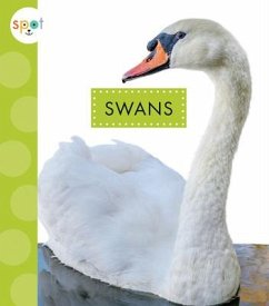Swans - Amstutz, Lisa