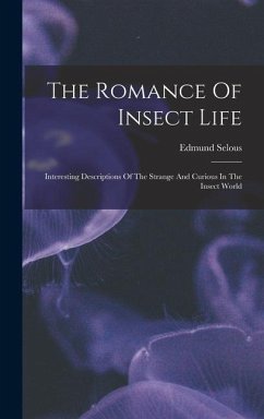 The Romance Of Insect Life: Interesting Descriptions Of The Strange And Curious In The Insect World - Selous, Edmund