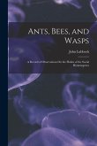 Ants, Bees, and Wasps