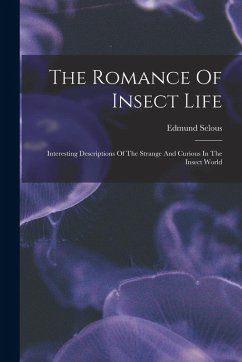 Cover The Romance Of Insect Life