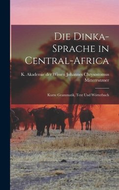 Die Dinka-sprache in Central-Africa: Kurze Grammatik, Text und Wörterbuch - Chrysostomus Mitterrutzner, K. Akademie