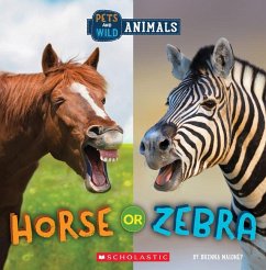 Horse or Zebra (Wild World: Pets and Wild Animals) - Maloney, Brenna