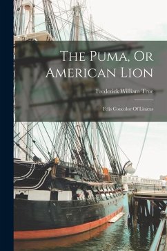 The Puma, Or American Lion: Felis Concolor Of Linæus - True, Frederick William