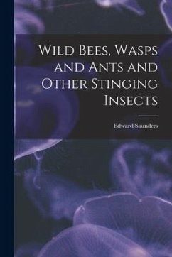 Wild Bees, Wasps and Ants and Other Stinging Insects - Saunders, Edward