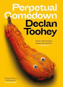 Perpetual Comedown - Toohey, Declan