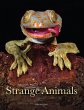 Strange Animals - Bild 1