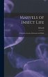 Marvels of Insect Life; a Popular... - Bild 1