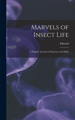 Cover Marvels of Insect Life; a Popular Account of Structure and Habit
