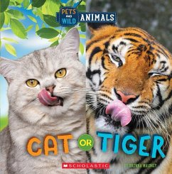 Cat or Tiger (Wild World: Pets and Wild Animals) - Maloney, Brenna