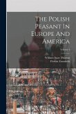The Polish Peasant In Europe And America; Volume 4
