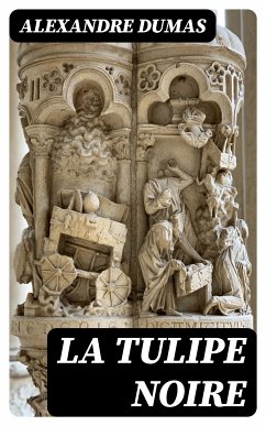 La tulipe noire (eBook, ePUB) - Dumas, Alexandre