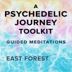 A Psychedelic Journey Toolkit: Guided Meditations (MP3-Download)