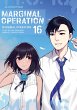Marginal Operation: Volume 16 - Bild 1