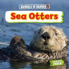 Cover Sea Otters
