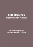 Ciberdelitos. Instrucción y prueba (eBook, ePUB)