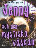 Jenny och den mystiska väskan (eBook, ePUB)