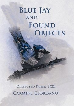 Blue Jay and Found Objects - Giordano, Carmine