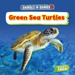 Green Sea Turtles - Dickmann, Nancy