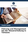 Führung und Management bei der Steuererhebung in Tshwane