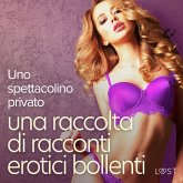 Uno spettacolino privato: una raccolta di racconti erotici bollenti (MP3-Download)