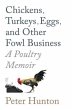 Chickens, Turkeys, Eggs and Other Fowl... - Bild 1