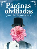 Páginas olvidadas (eBook, ePUB)