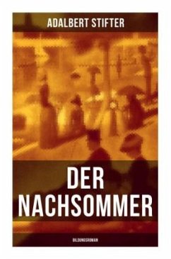 Der Nachsommer: Bildungsroman - Stifter, Adalbert