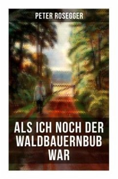 Als ich noch der Waldbauernbub war - Rosegger, Peter