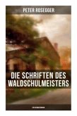 Die Schriften des Waldschulmeisters (Ein Heimatroman)