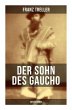 Der Sohn des Gaucho (Abenteuerroman) - Bild 1