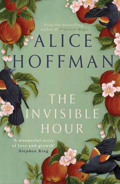 The Invisible Hour (eBook, ePUB) - Hoffman, Alice