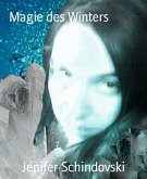 Magie des Winters (eBook, ePUB)