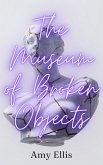 The Museum of Broken Objects (eBook, ePUB)