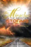Miracles in the Midst of Storms (eBook, ePUB)