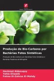 Produção de Bio-Carbono por Bactérias Fotos Sintéticas