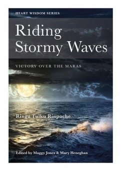 Riding Stormy Waves (eBook, ePUB) - Tulku, Ringu