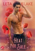 Heat for Sale (eBook, ePUB)