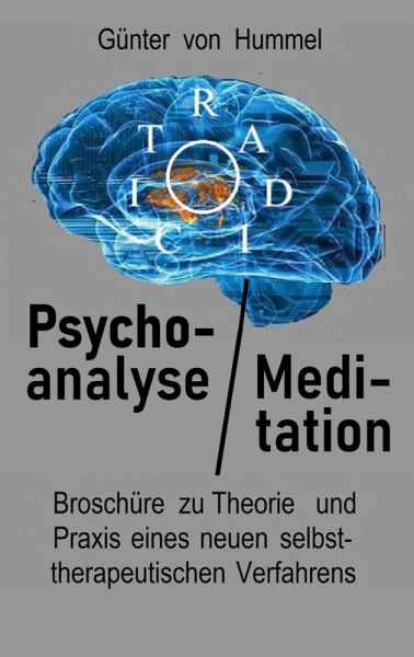 Psychoanalyse / Meditation (eBook, ePUB)