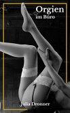 Orgien im Büro (eBook, ePUB)