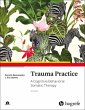 Trauma Practice - Bild 1