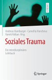 Soziales Trauma (eBook, PDF)